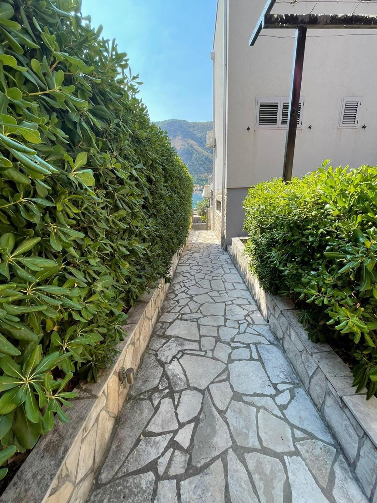 Bjelica Apartments كوتور المظهر الخارجي الصورة