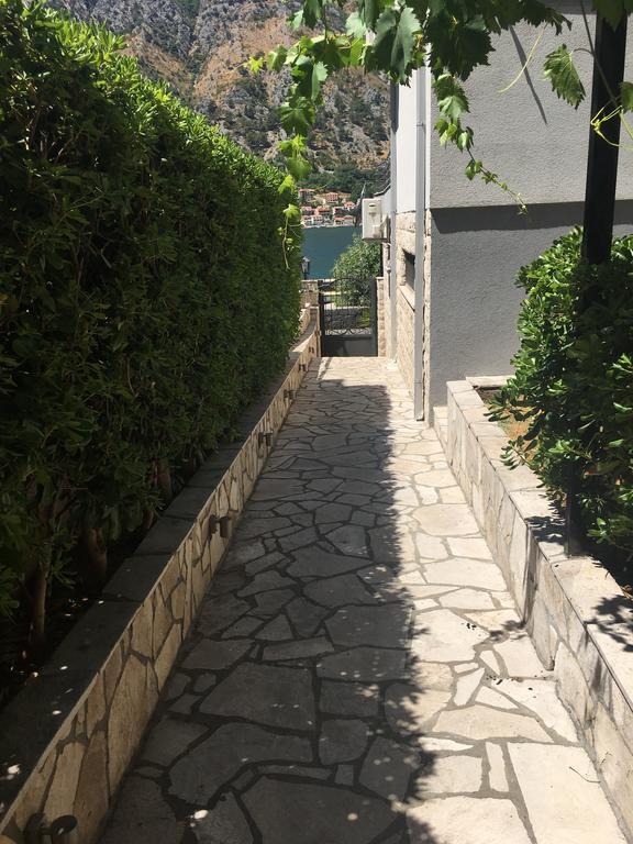 Bjelica Apartments كوتور المظهر الخارجي الصورة